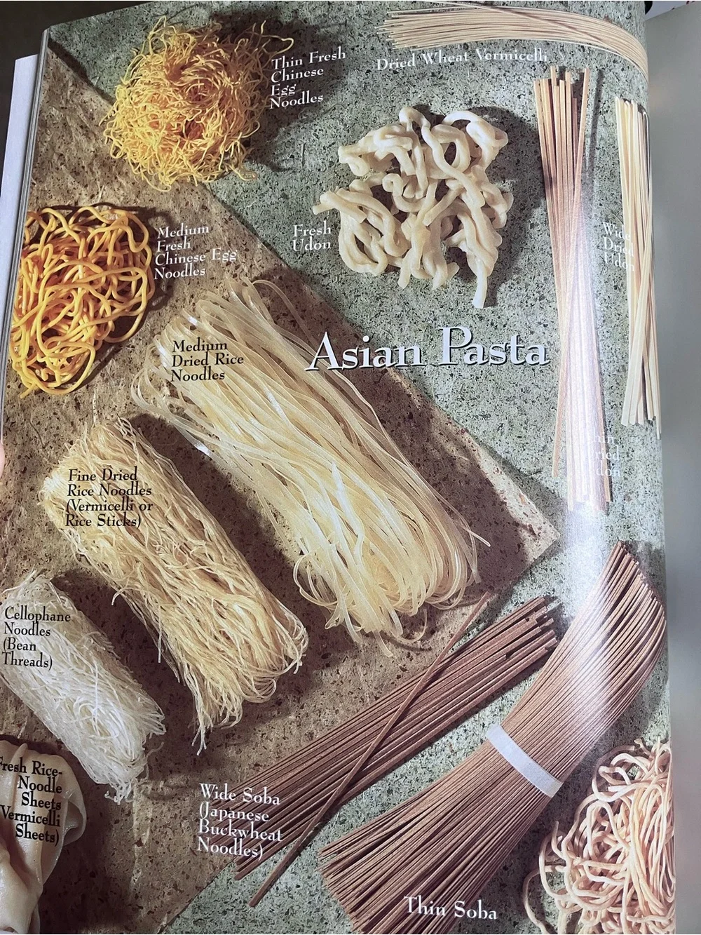 : Pasta Cookbook - Green Cover